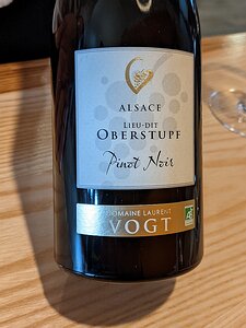 20230119_PXL132234240_Pixel3a-JEB